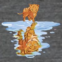 Cat Reflecting Tiger Mesh Reversible Basketball Jersey Tank