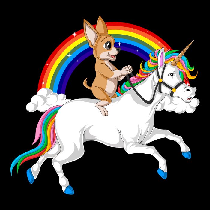Chihuahua Riding Unicorn Drawstring Bag