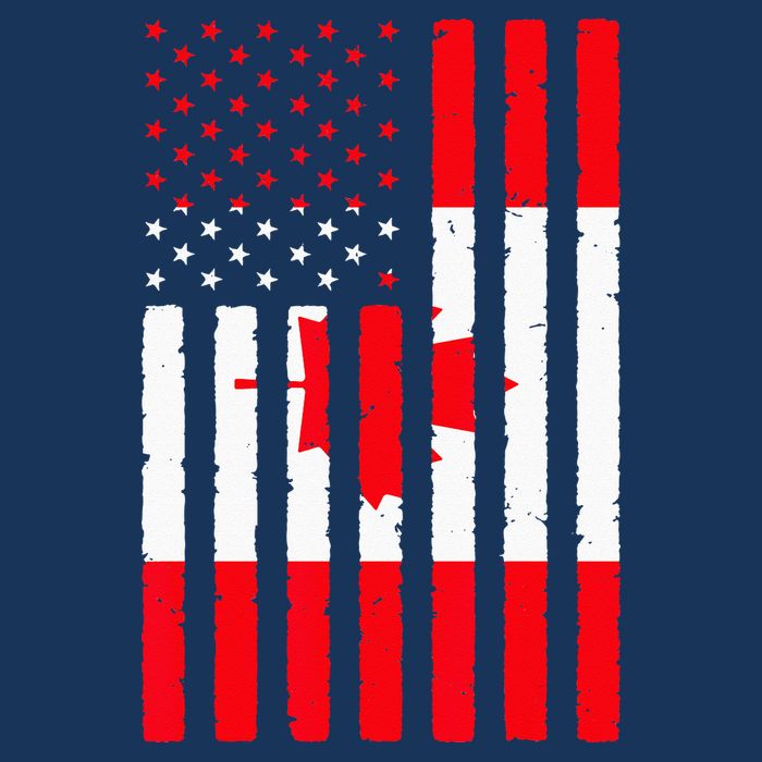 Canadian Roots USA Flag Heritage Half Canada American Kids T-Shirt