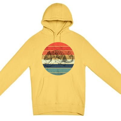 Chameleon Retro Vintage Sunset Premium Pullover Hoodie