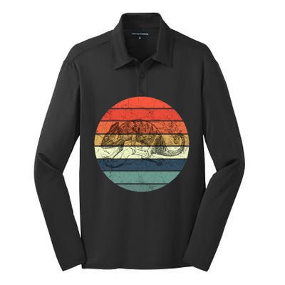 Chameleon Retro Vintage Sunset Silk Touch Performance Long Sleeve Polo