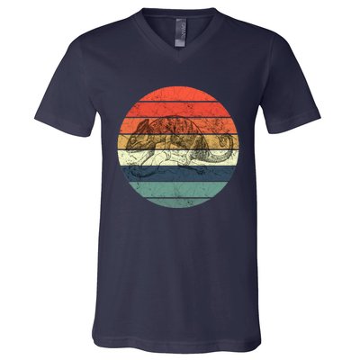 Chameleon Retro Vintage Sunset V-Neck T-Shirt