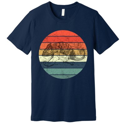 Chameleon Retro Vintage Sunset Premium T-Shirt