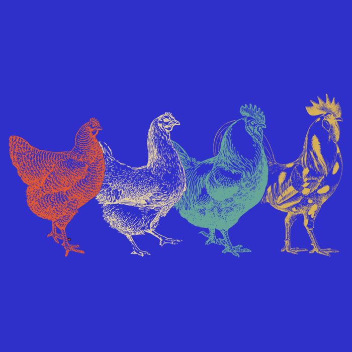 Chicken Retro Vintage Poultry Farmer Women Men Farm Lover Gift Womens Tank Top