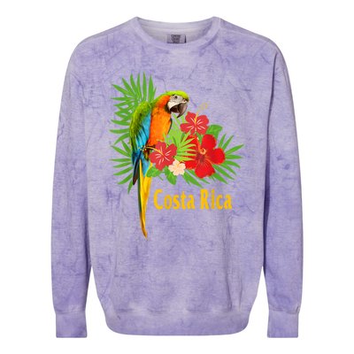 Costa Rica Vacation Parrot Tropical Flowers Colorblast Crewneck Sweatshirt