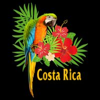 Costa Rica Vacation Parrot Tropical Flowers Doggie Tank