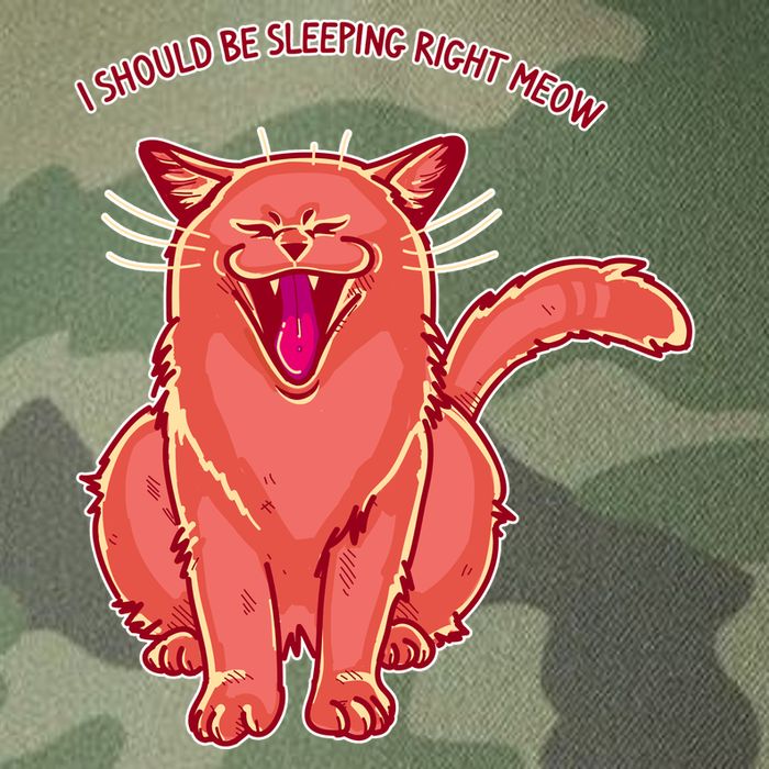 Crying Cat I should Be Sleeping Legacy Tie Dye Trucker Hat