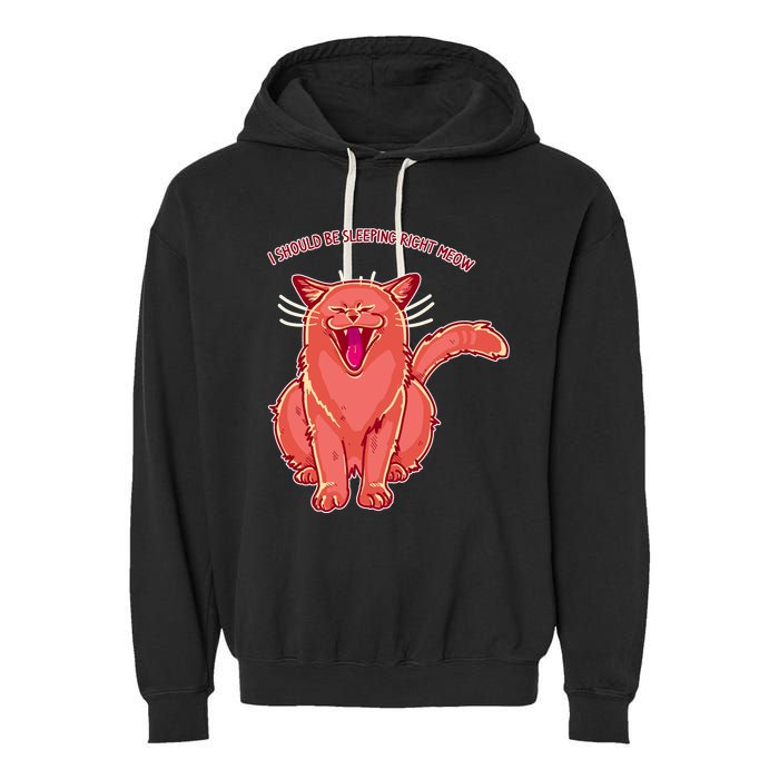 Crying Cat I should Be Sleeping Garment-Dyed Fleece Hoodie
