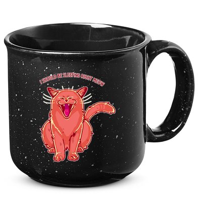 Crying Cat I should Be Sleeping 15oz Campfire Ceramic Mug