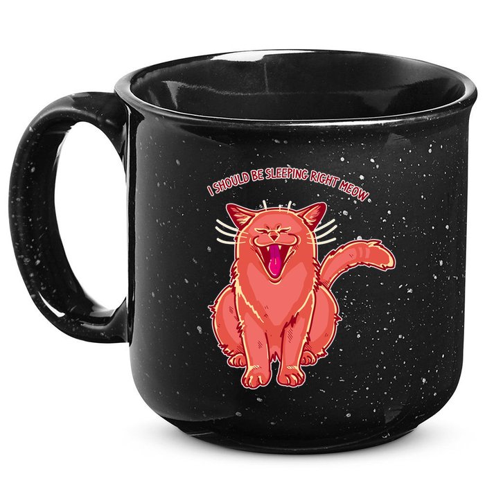 Crying Cat I should Be Sleeping 15oz Campfire Ceramic Mug