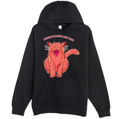 Crying Cat I should Be Sleeping Premium Pullover Hoodie