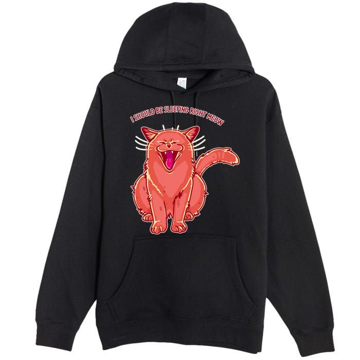 Crying Cat I should Be Sleeping Premium Pullover Hoodie