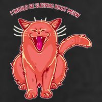 Crying Cat I should Be Sleeping Hat
