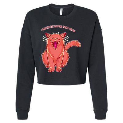 Crying Cat I should Be Sleeping Cropped Pullover Crew
