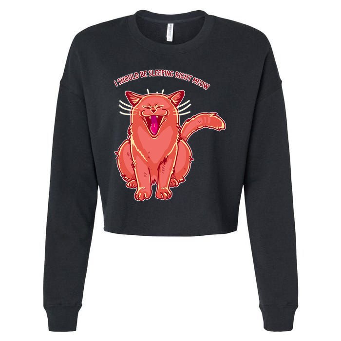 Crying Cat I should Be Sleeping Cropped Pullover Crew