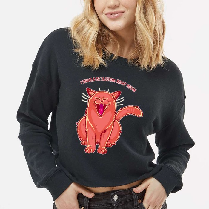 Crying Cat I should Be Sleeping Cropped Pullover Crew