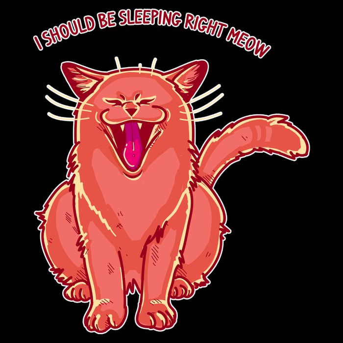 Crying Cat I should Be Sleeping Cropped Pullover Crew