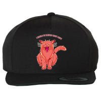 Crying Cat I should Be Sleeping Wool Snapback Cap