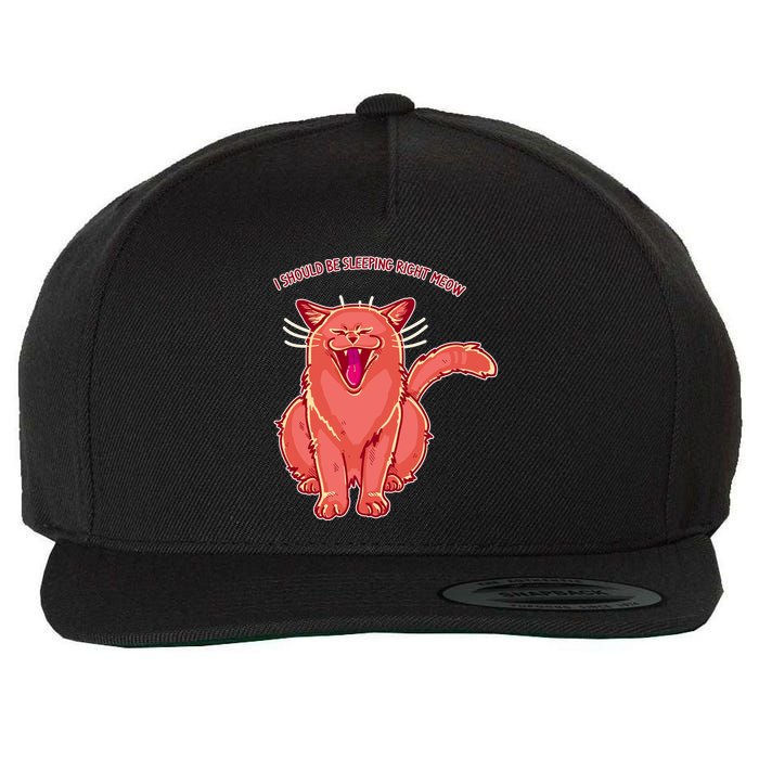 Crying Cat I should Be Sleeping Wool Snapback Cap