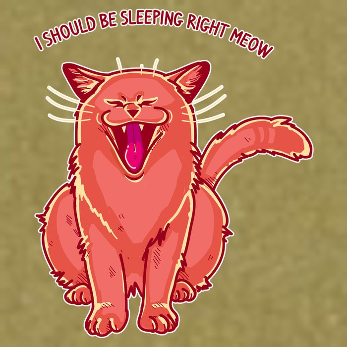 Crying Cat I should Be Sleeping Garment-Dyed Women's Muscle Tee