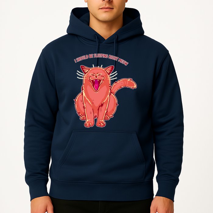 Crying Cat I should Be Sleeping Hoodie