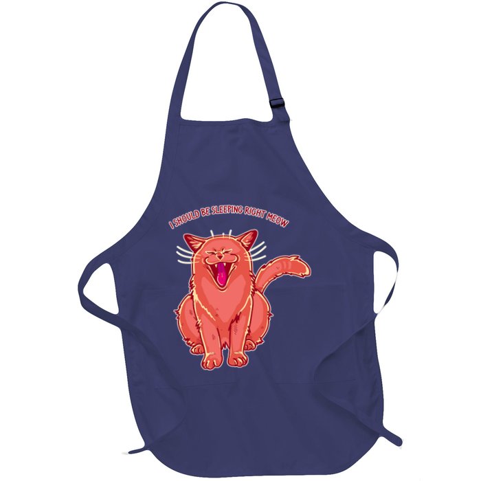 Crying Cat I should Be Sleeping Apron