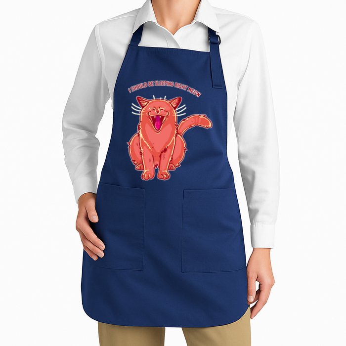 Crying Cat I should Be Sleeping Apron