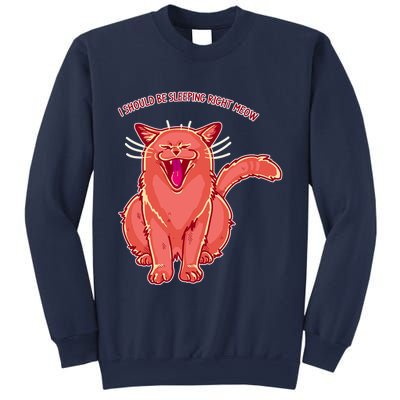 Crying Cat I should Be Sleeping Sweatshirt