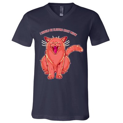Crying Cat I should Be Sleeping V-Neck T-Shirt