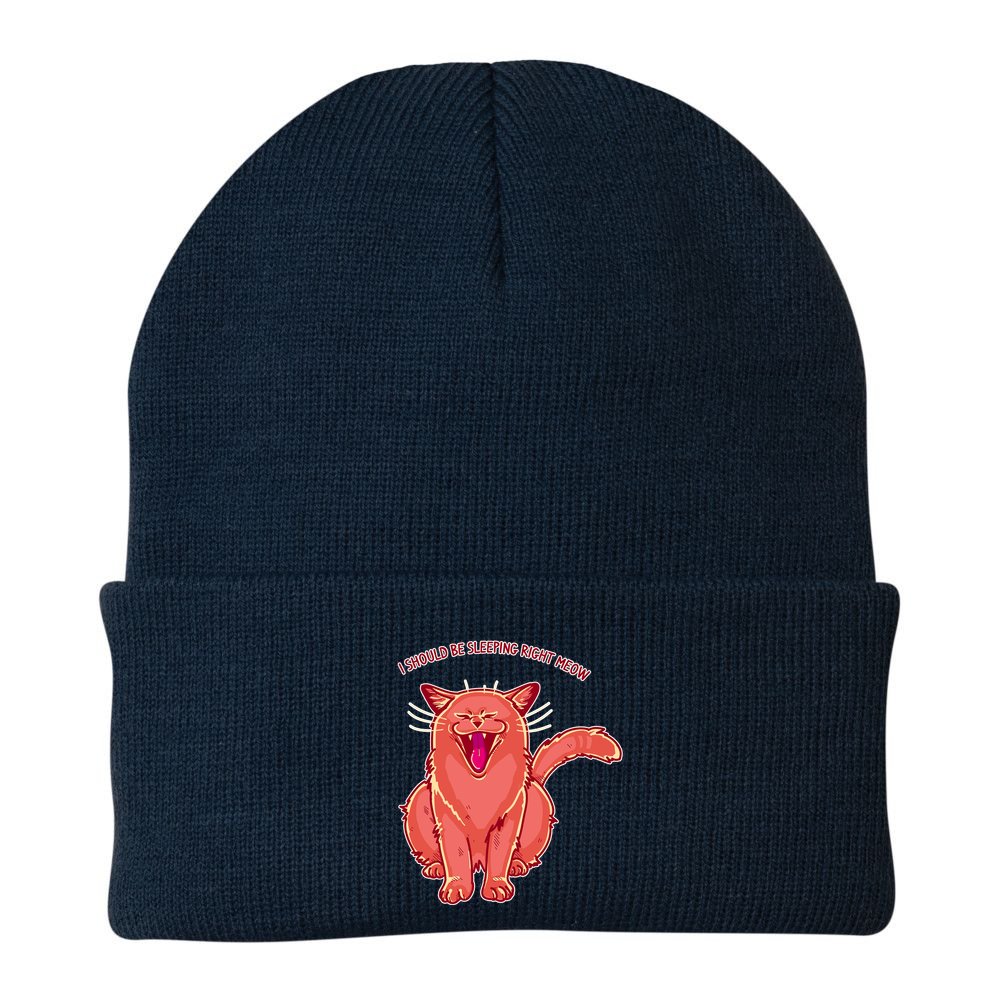 Crying Cat I should Be Sleeping Beanie