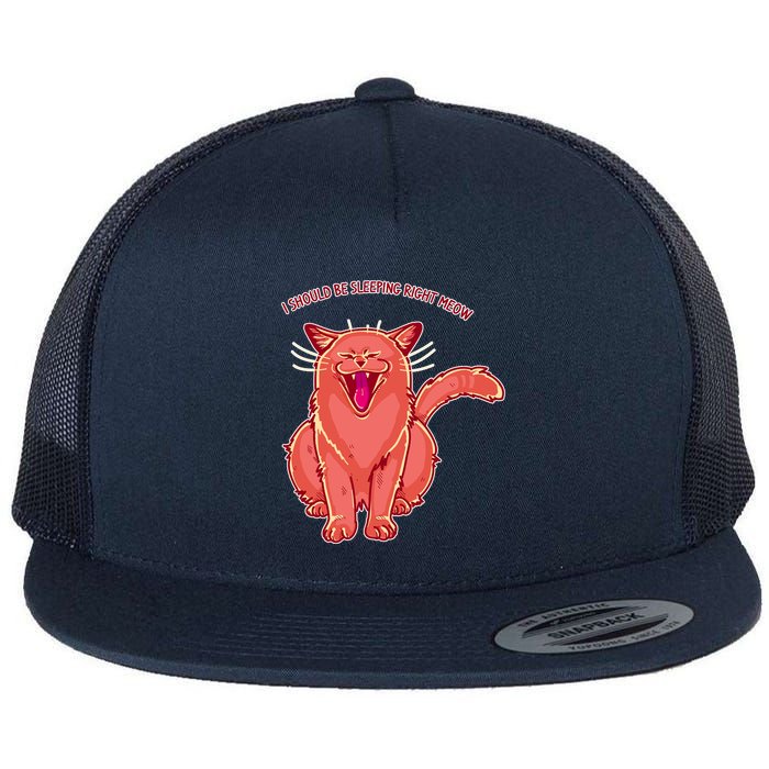 Crying Cat I should Be Sleeping Flatbill Hat