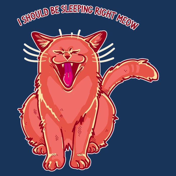 Crying Cat I should Be Sleeping Mousepad
