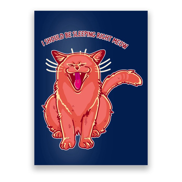 Crying Cat I should Be Sleeping Poster