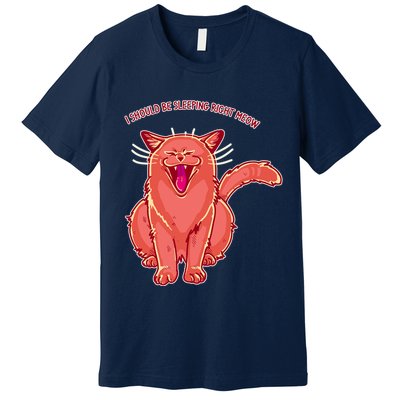 Crying Cat I should Be Sleeping Premium T-Shirt