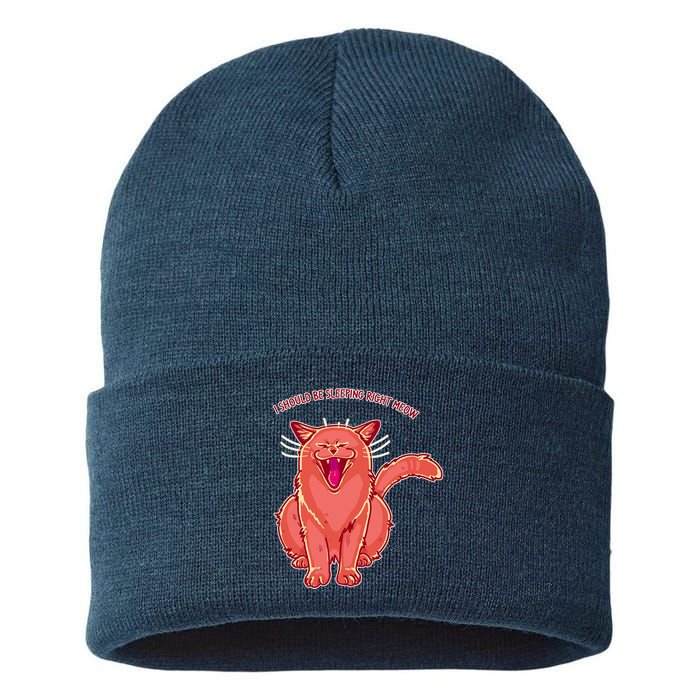 Crying Cat I should Be Sleeping Sustainable Knit Beanie