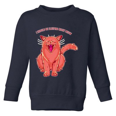 Crying Cat I should Be Sleeping Toddler Sweatshirt