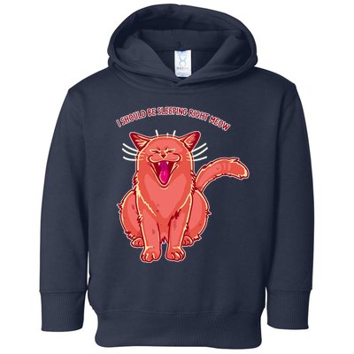 Crying Cat I should Be Sleeping Toddler Hoodie