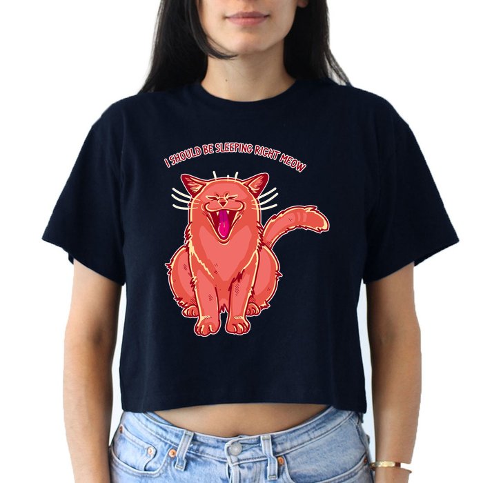 Crying Cat I should Be Sleeping Crop Top