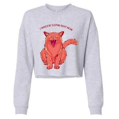 Crying Cat I should Be Sleeping Cropped Pullover Crew