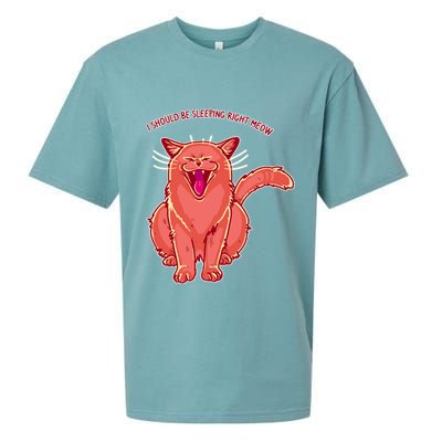 Crying Cat I should Be Sleeping Sueded Cloud Jersey T-Shirt