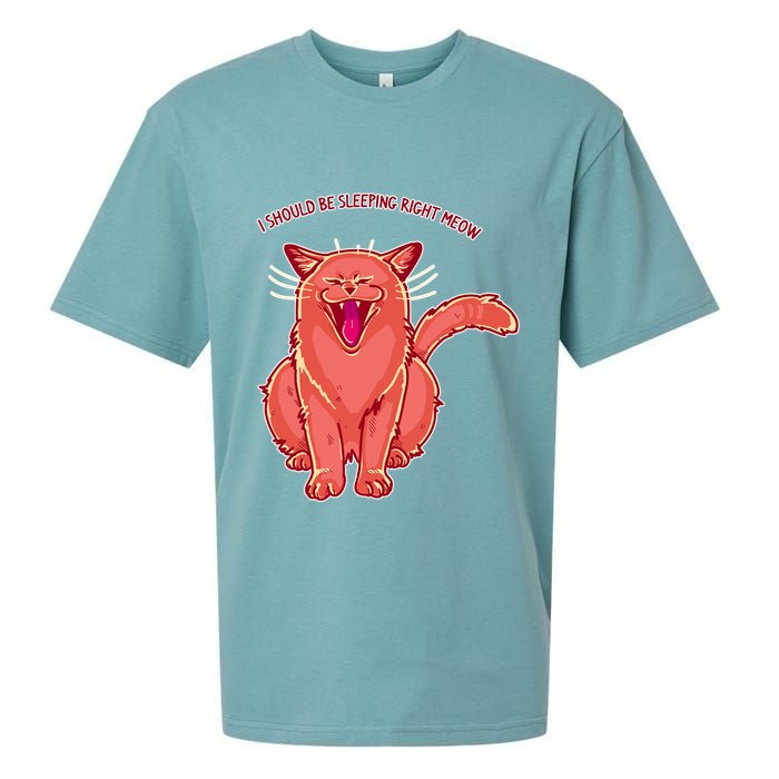 Crying Cat I should Be Sleeping Sueded Cloud Jersey T-Shirt