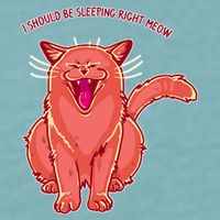 Crying Cat I should Be Sleeping Sueded Cloud Jersey T-Shirt