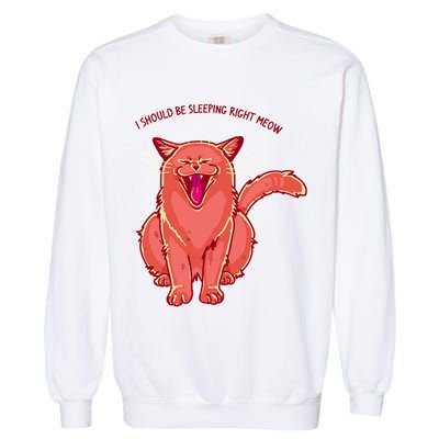 Crying Cat I should Be Sleeping Garment-Dyed Sweatshirt