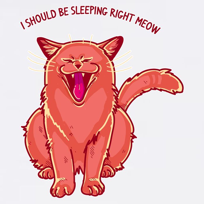 Crying Cat I should Be Sleeping Garment-Dyed Sweatshirt