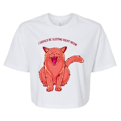 Crying Cat I should Be Sleeping Bella+Canvas Jersey Crop Tee