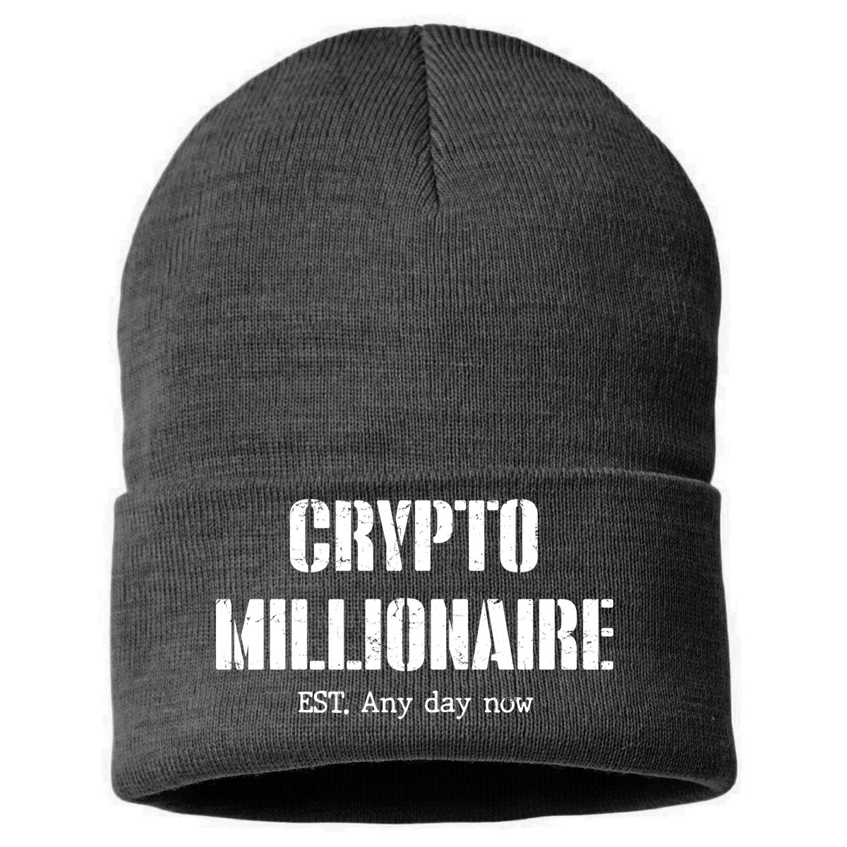 Crypto Millionaire Est. Any Day Now Sustainable Knit Beanie