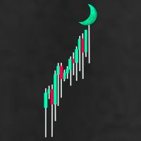 Crypto To The Moon Trading Hodl Stock Chart Hat