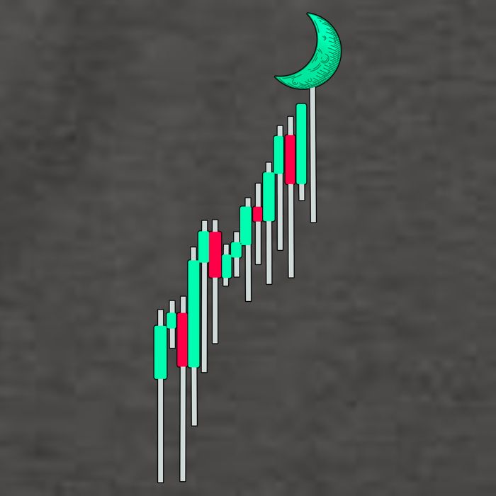 Crypto To The Moon Trading Hodl Stock Chart Vector Backpack