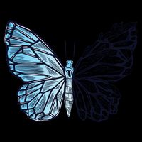 Crystal Butterfly Crop Top