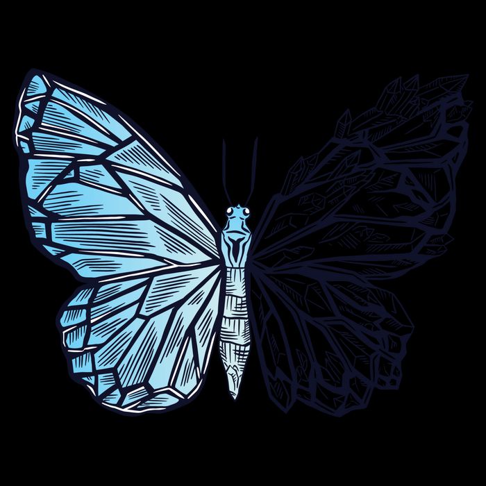 Crystal Butterfly Crop Top
